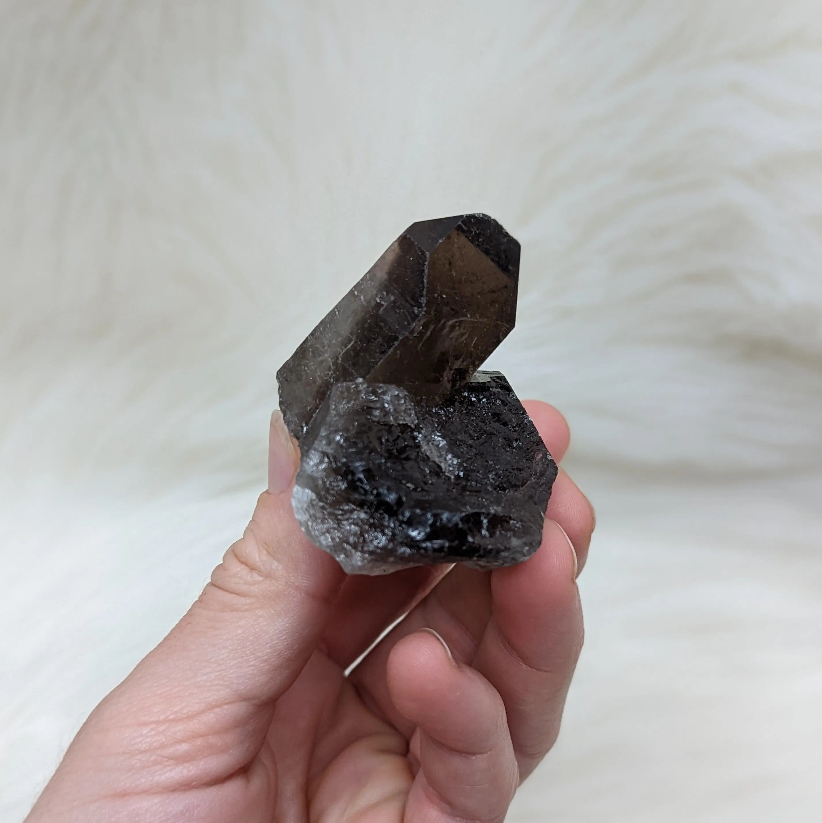 Chunky, Perpendicular double terminated Smoky Quartz Points