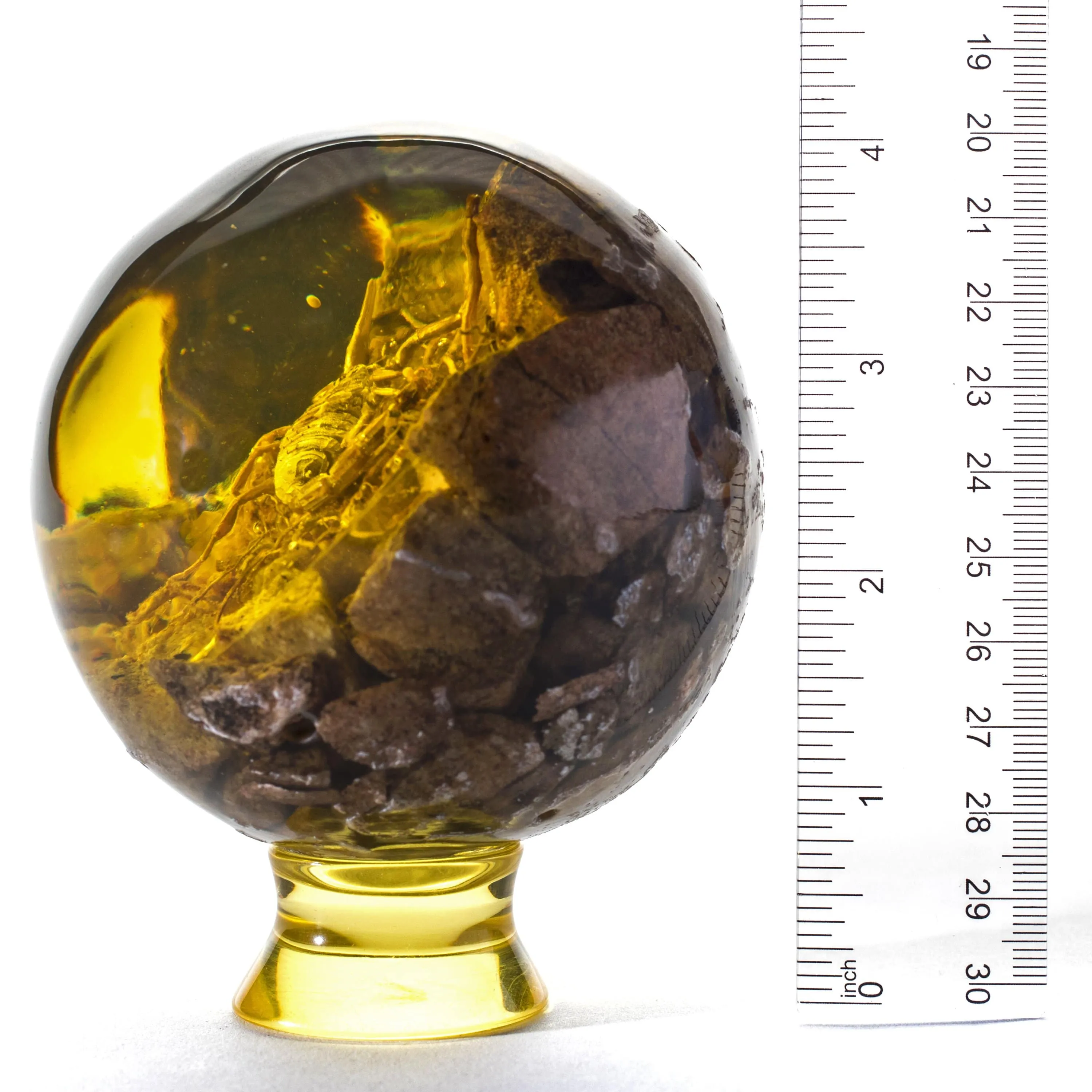 Cultured Amber Sphere with Scorpion - 3