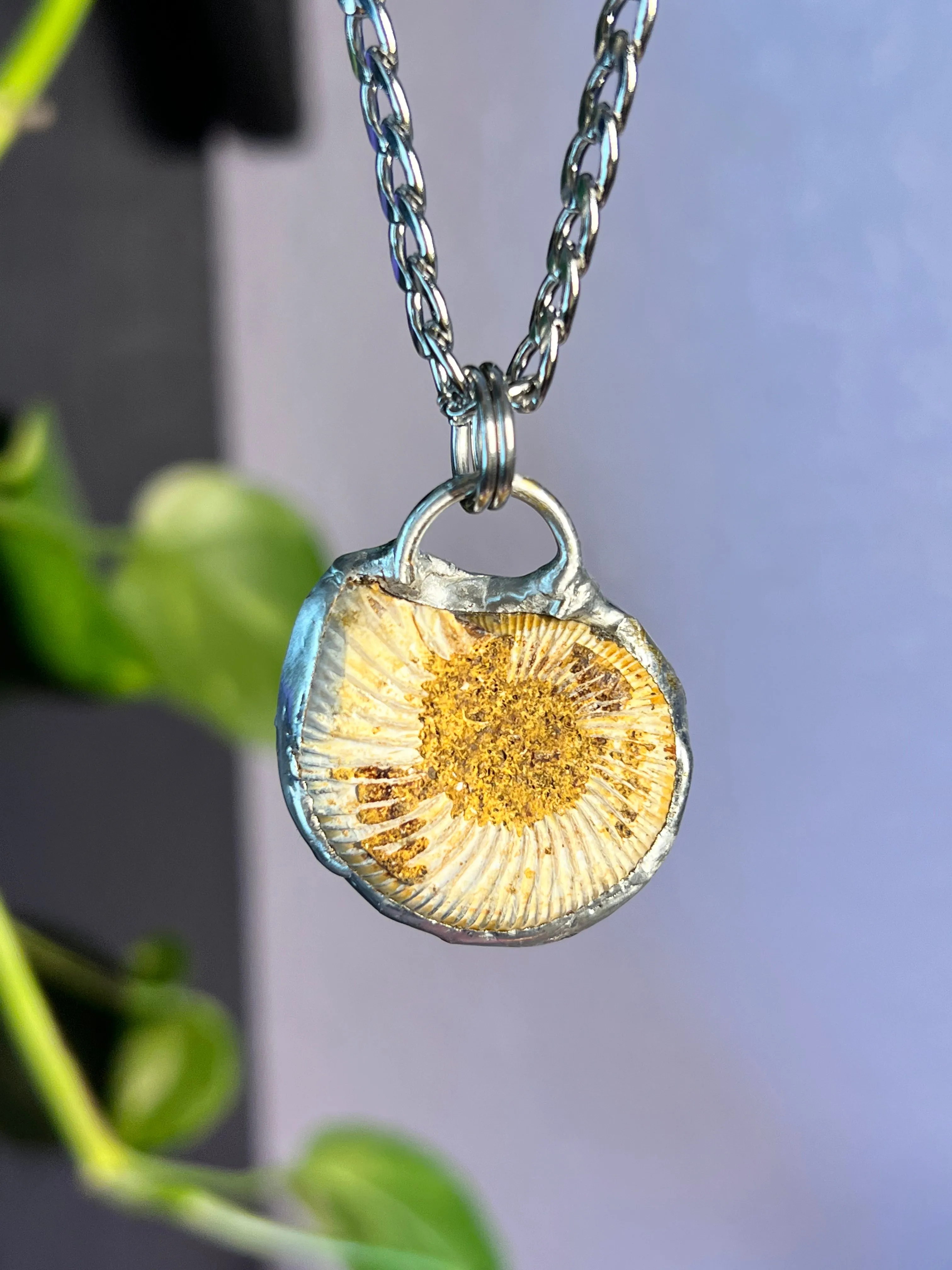 Holographic Ammonite amulet no.7